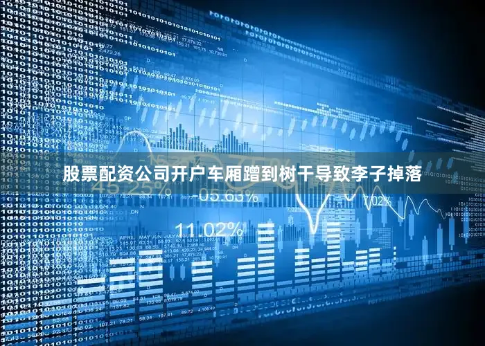 股票配资公司开户车厢蹭到树干导致李子掉落