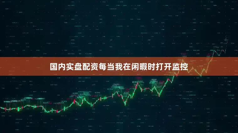 国内实盘配资每当我在闲暇时打开监控