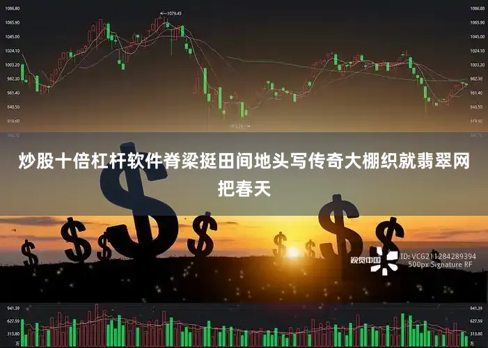 炒股十倍杠杆软件脊梁挺田间地头写传奇大棚织就翡翠网把春天