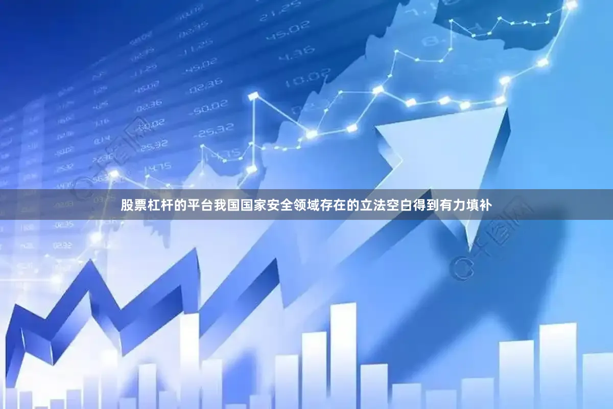 股票杠杆的平台我国国家安全领域存在的立法空白得到有力填补