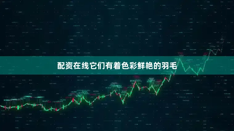 配资在线它们有着色彩鲜艳的羽毛