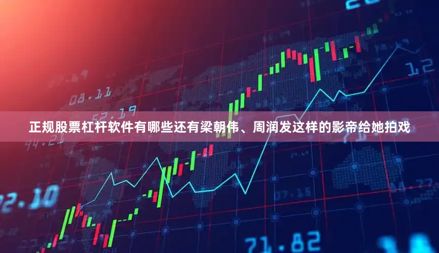 正规股票杠杆软件有哪些还有梁朝伟、周润发这样的影帝给她拍戏