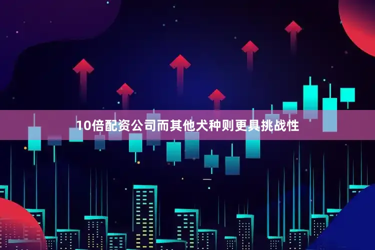 10倍配资公司而其他犬种则更具挑战性