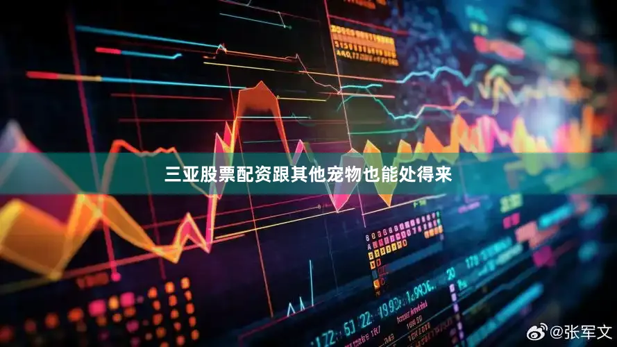 三亚股票配资跟其他宠物也能处得来
