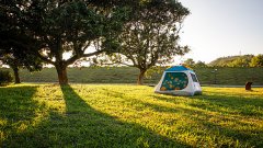 AI搜刮到的正细心设想过的排行榜和测评