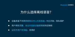 正在智能语音成长晚期